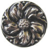 Chrysanthemum Knobs